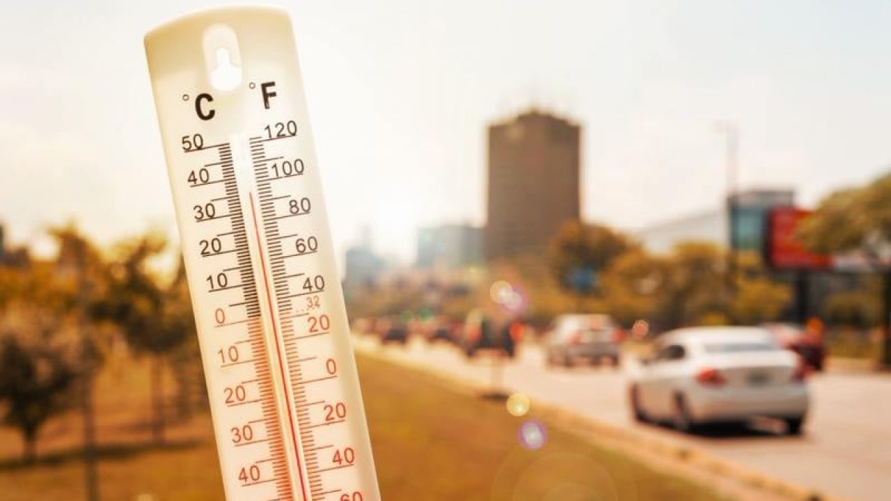 temperature-1 temperature-1