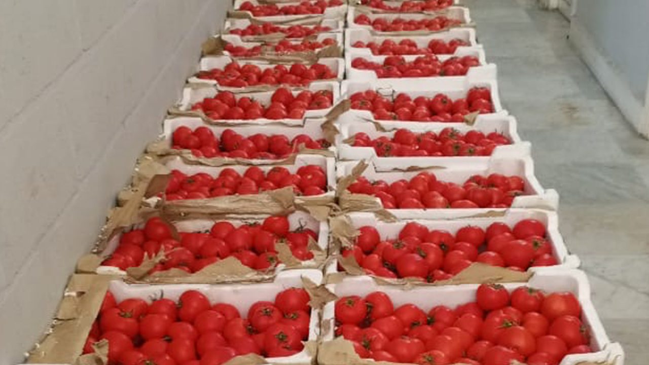 tomato tomato