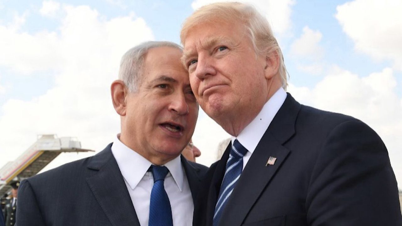 trump trump