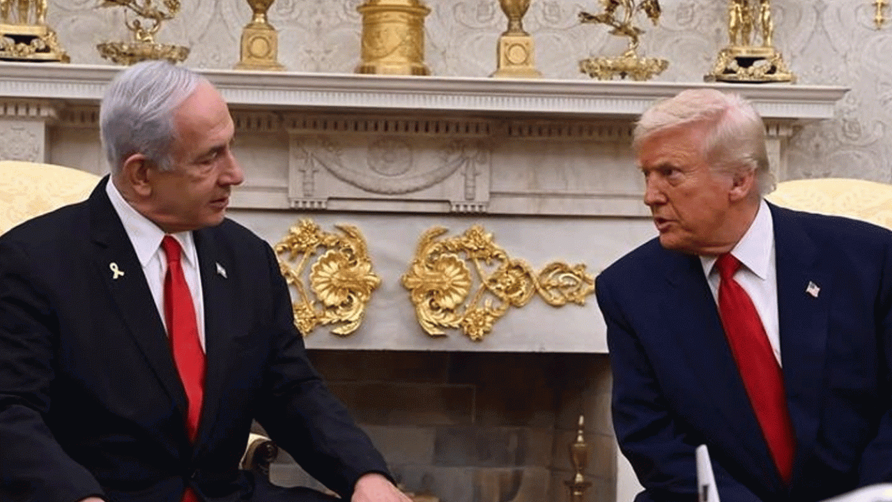 trump-nat