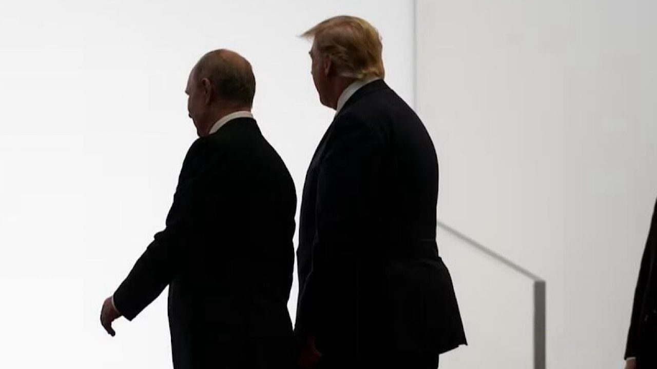trump putin