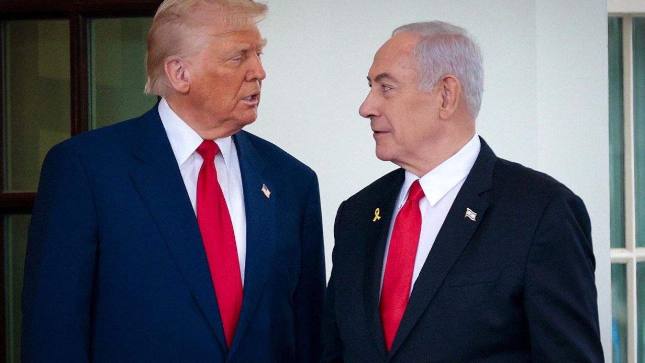 trumppp