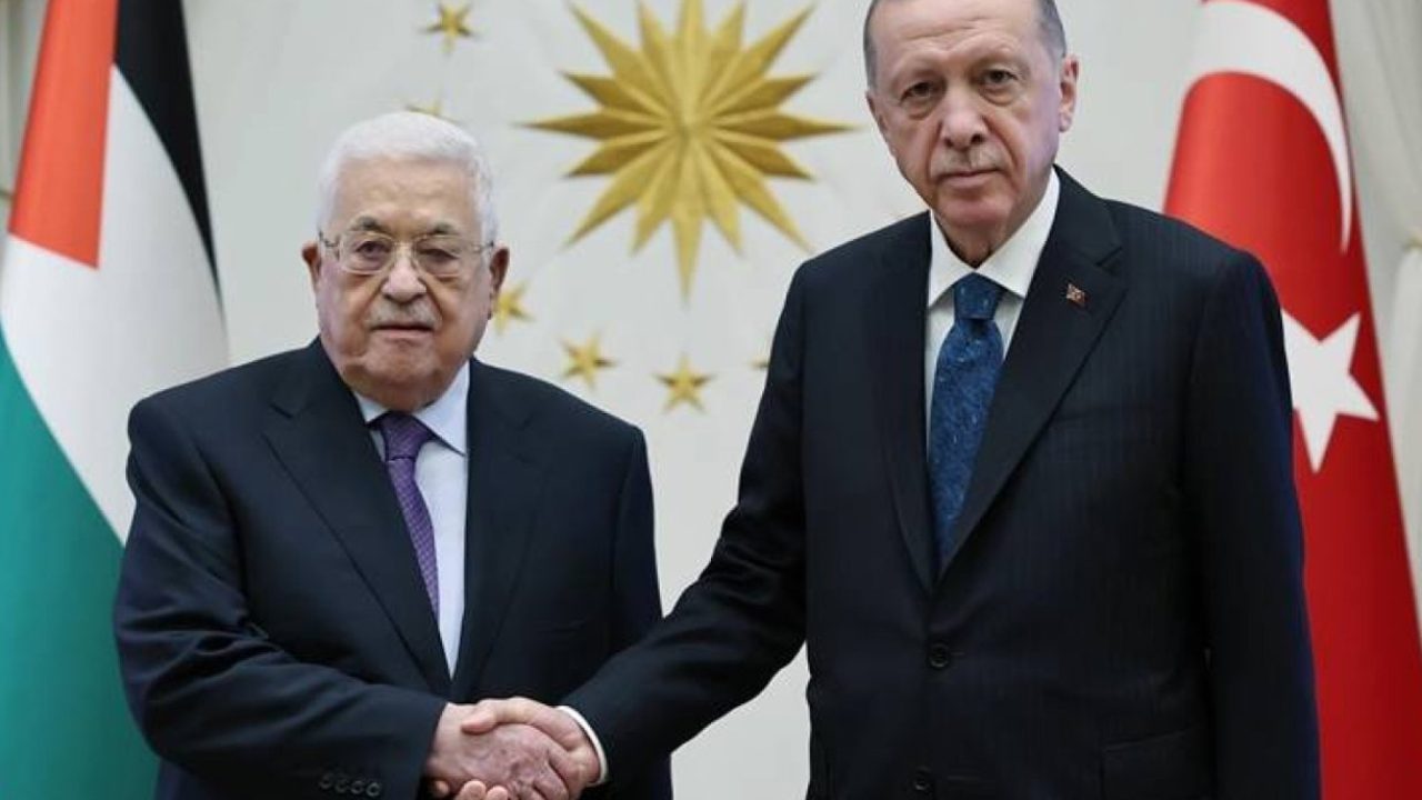 turkey-2