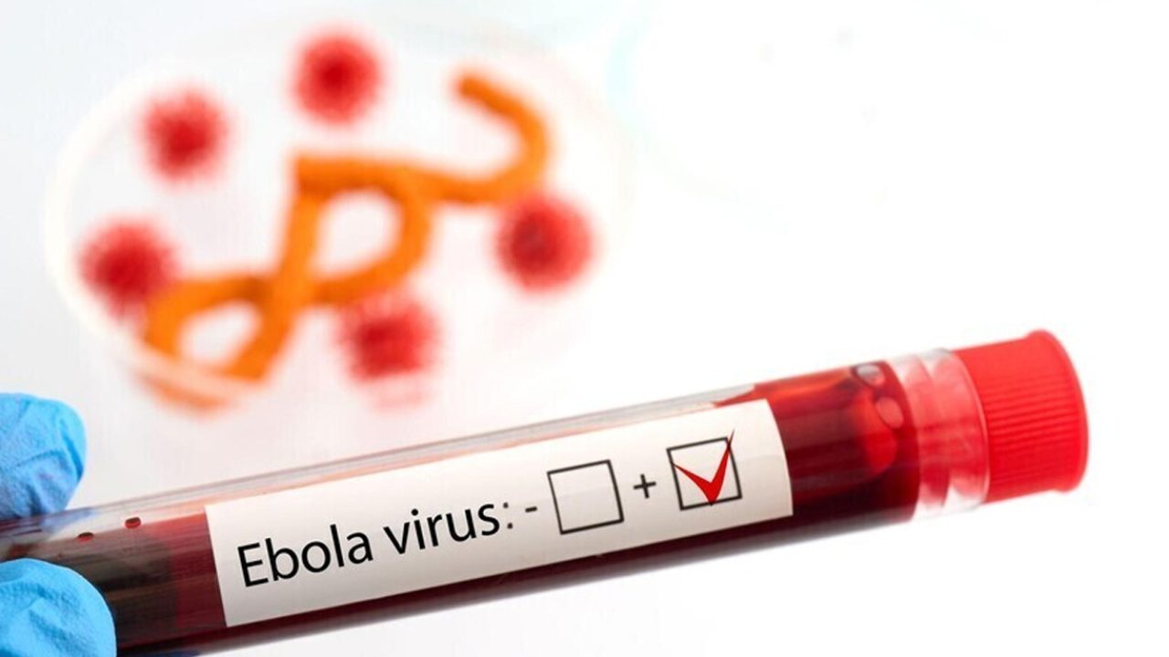 virus