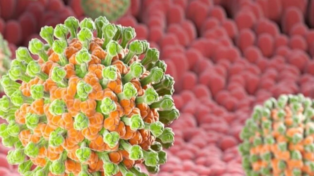 virus
