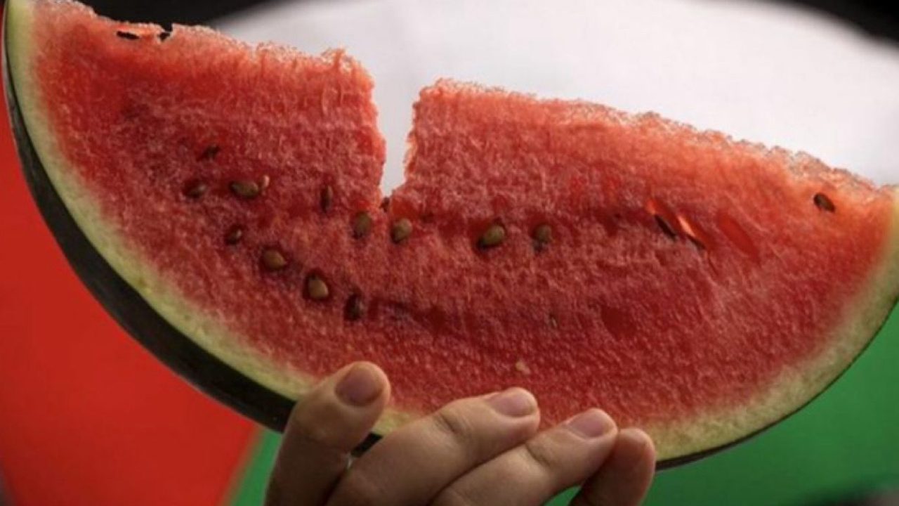 watermelon