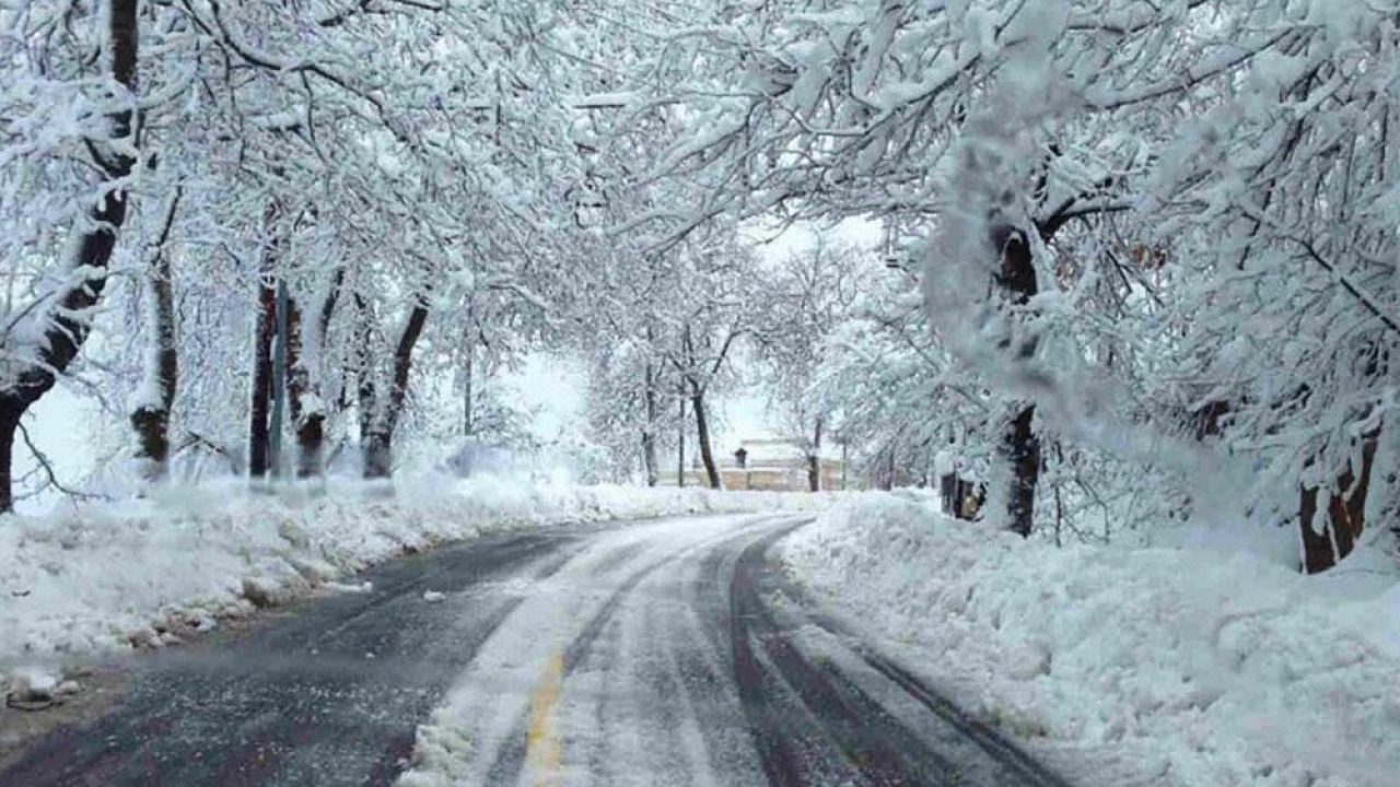 weather