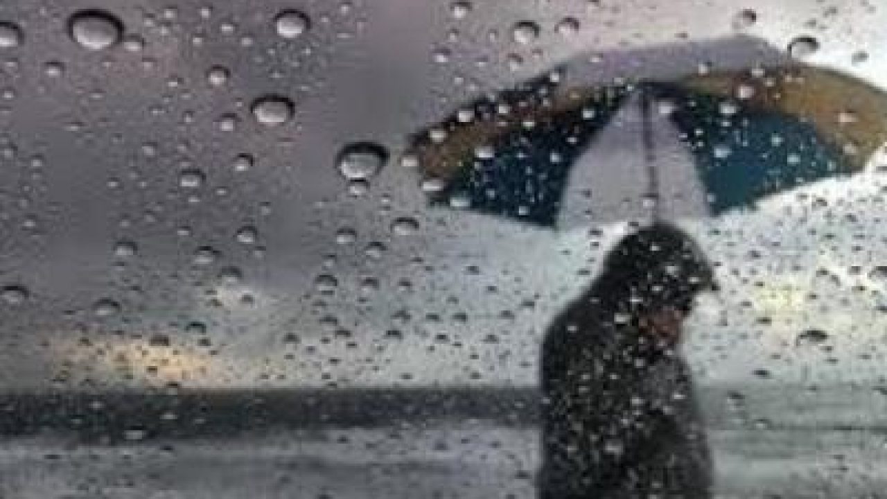 weather 9