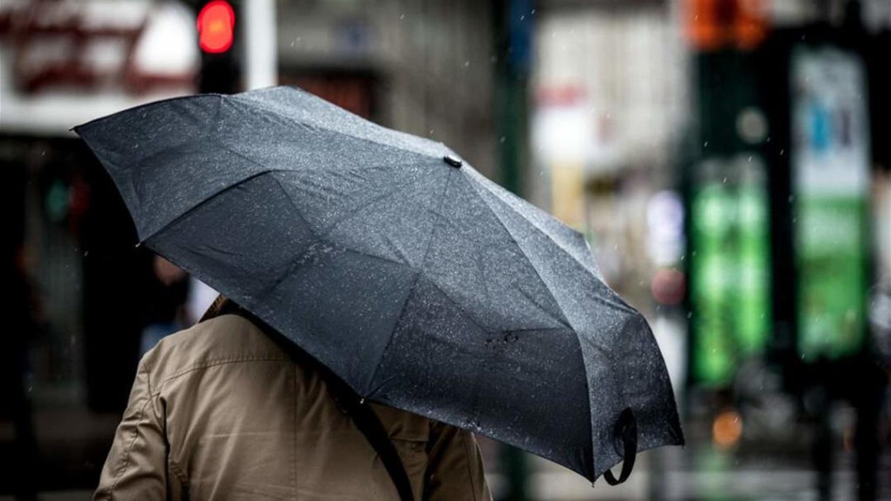 weather rainy umbrella