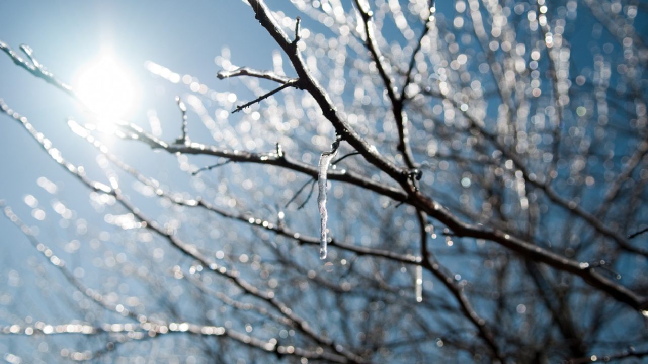 winter