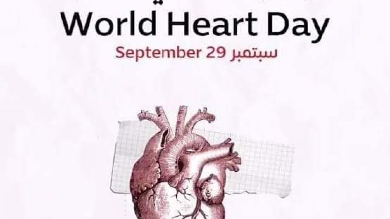 world heart day world heart day