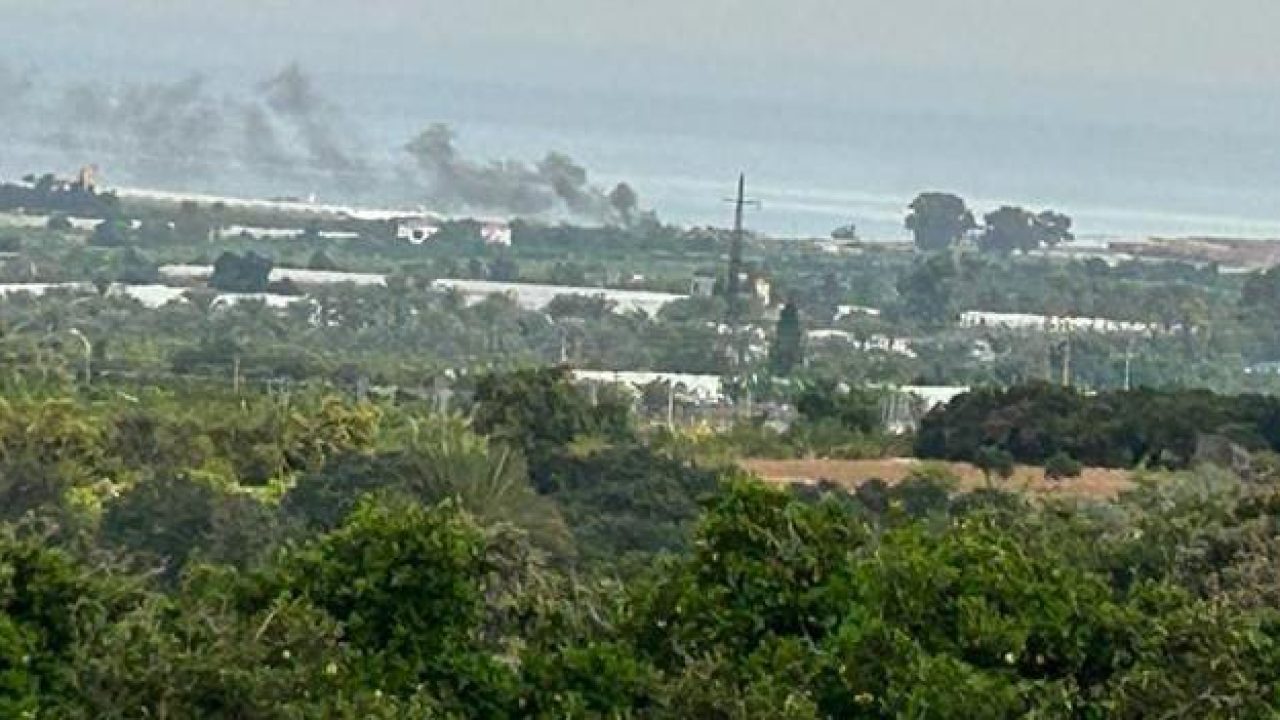 zehrane