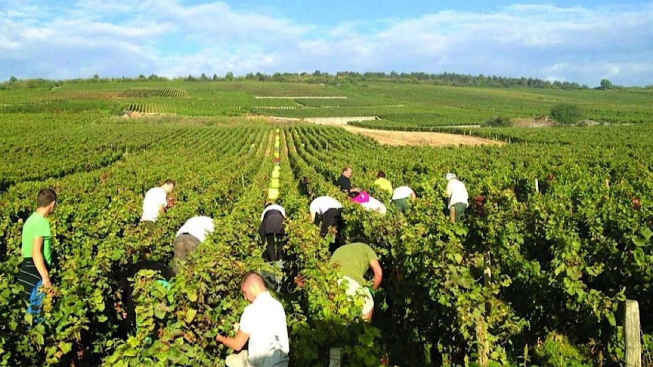 zira3a-r0a1ce9vmfc1snpdj0ws6mguaztnzod7z85mbch1y8