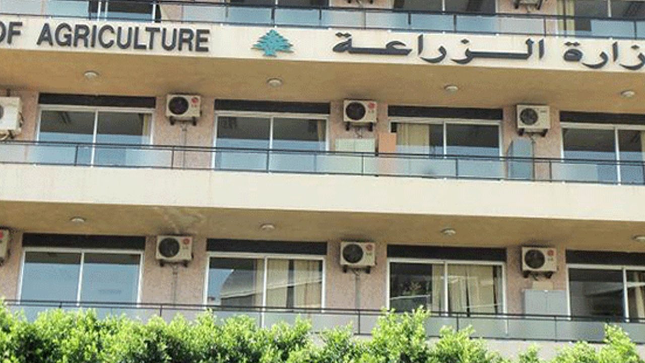 zira3a