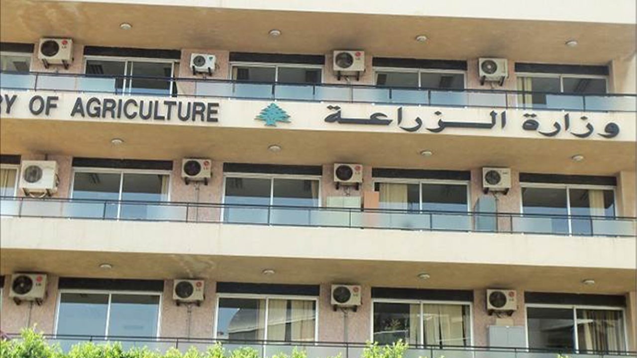zira3a