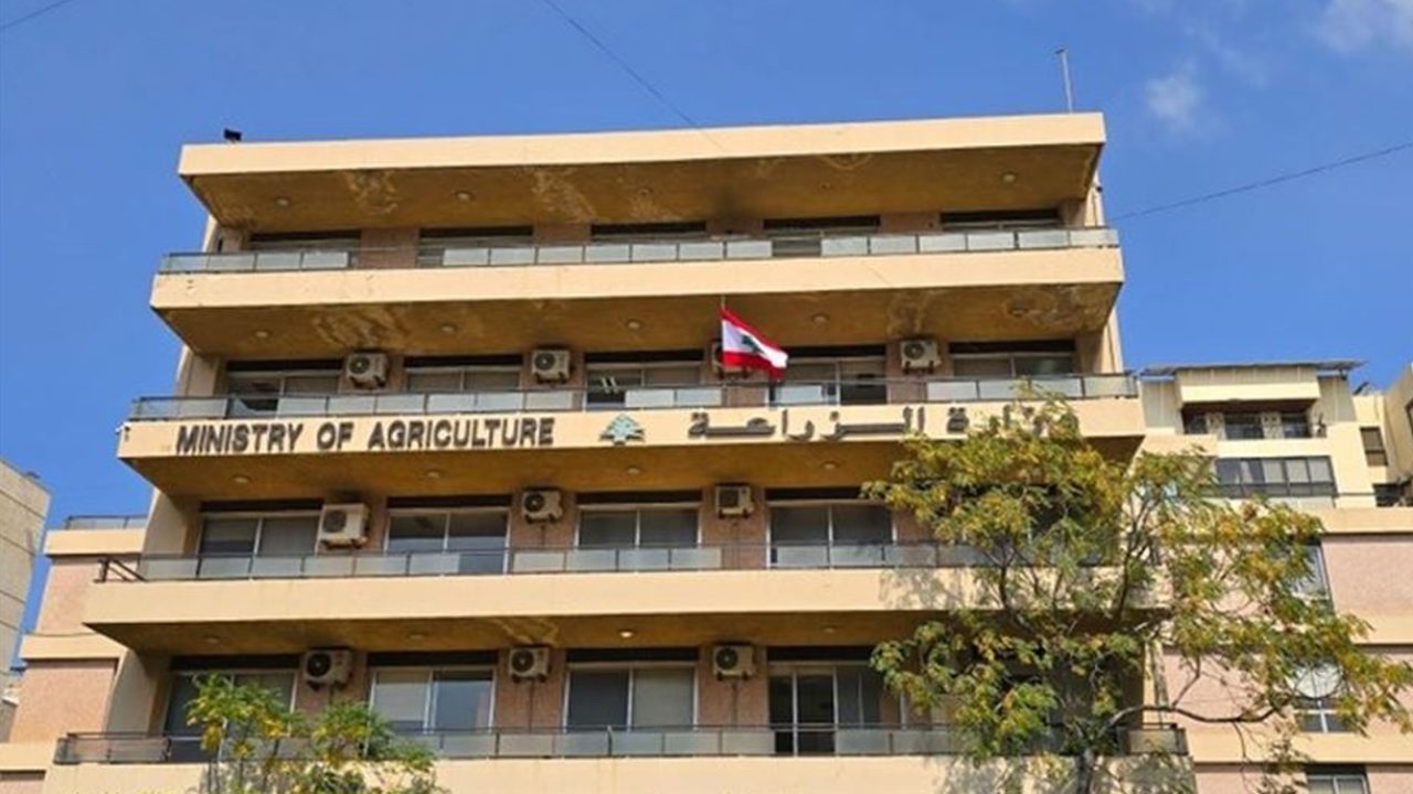 zira3a