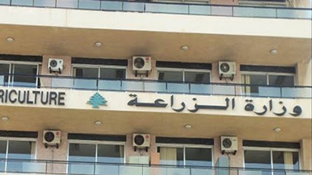 ziraa3a