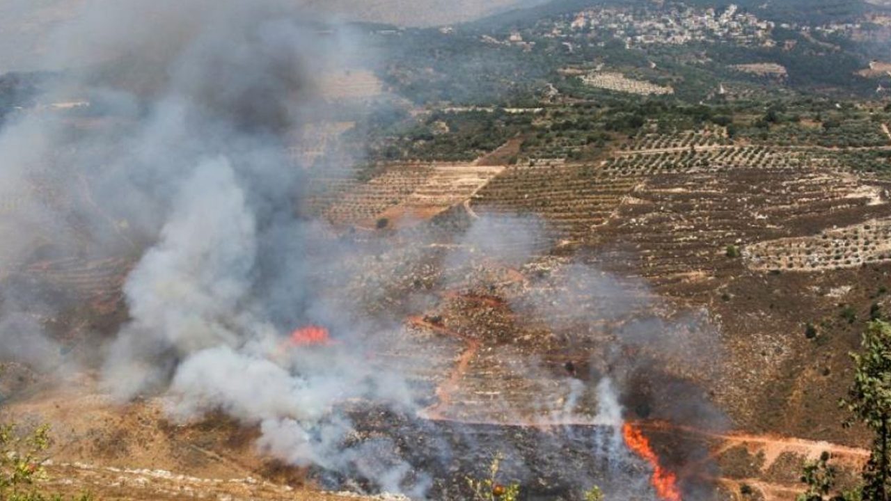 الجنوب الجنوب