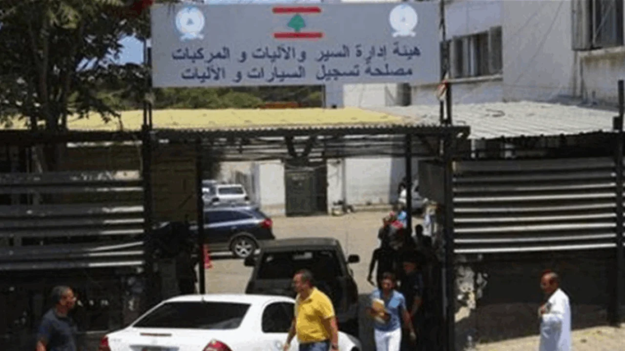 النافعة