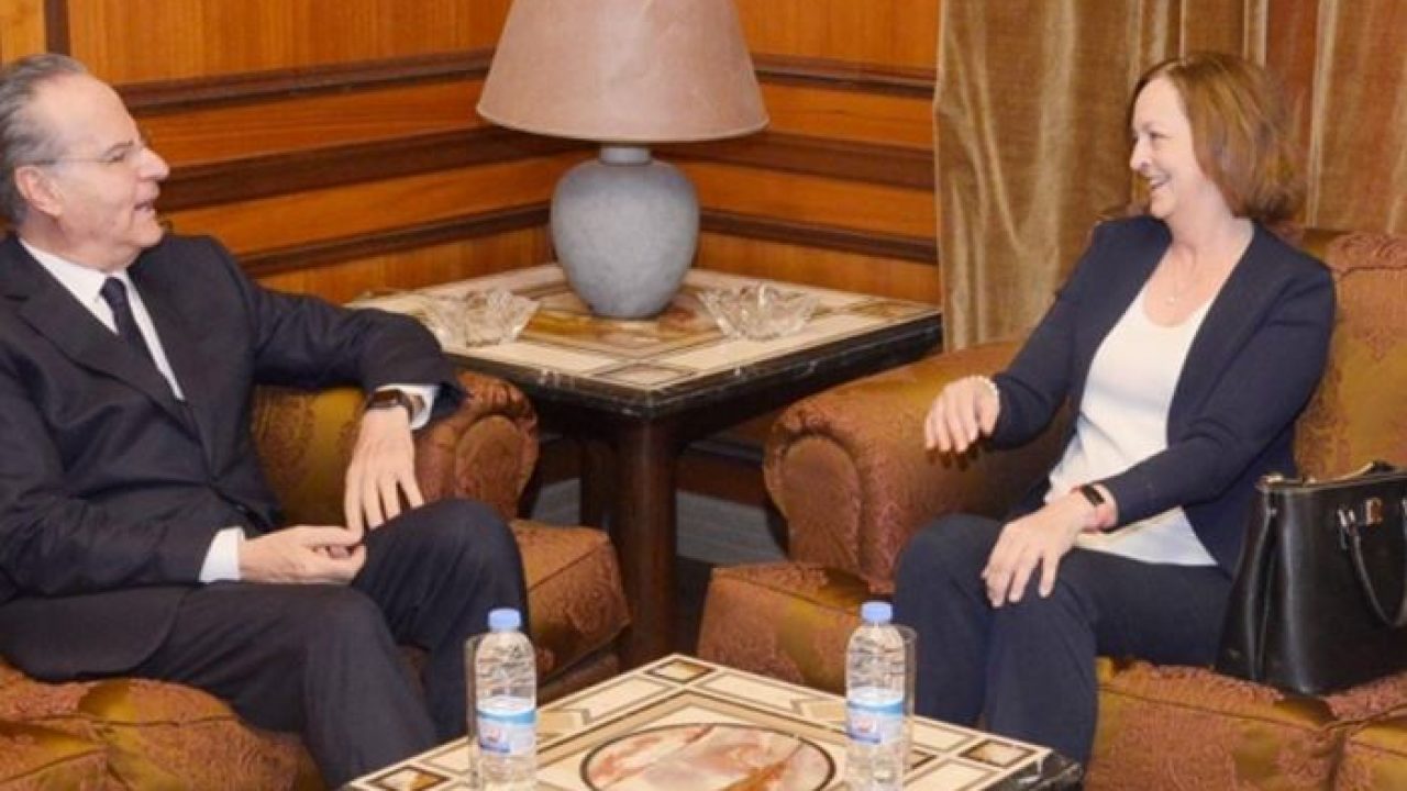 جورج عدوان وليزا جونسون جورج عدوان وليزا جونسون