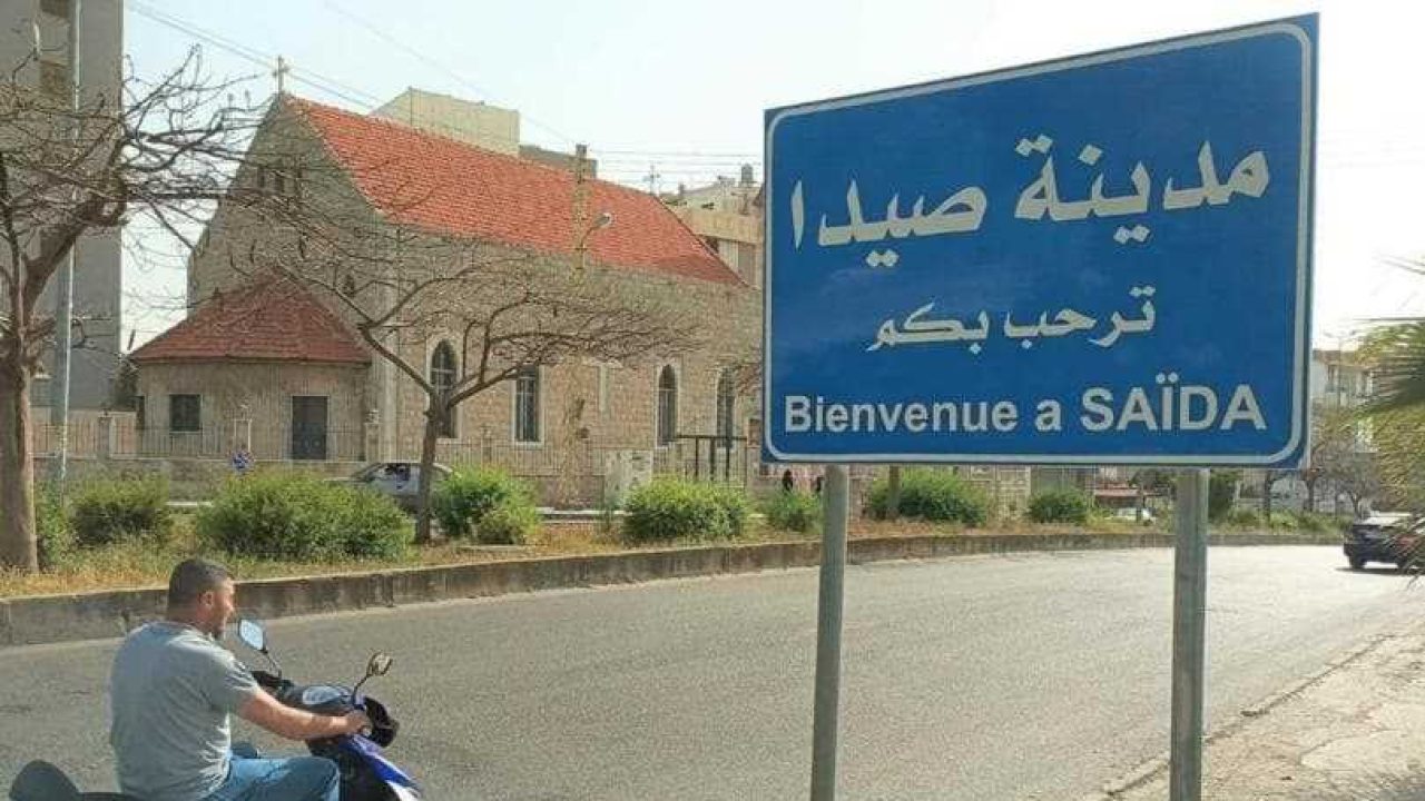 صيدا